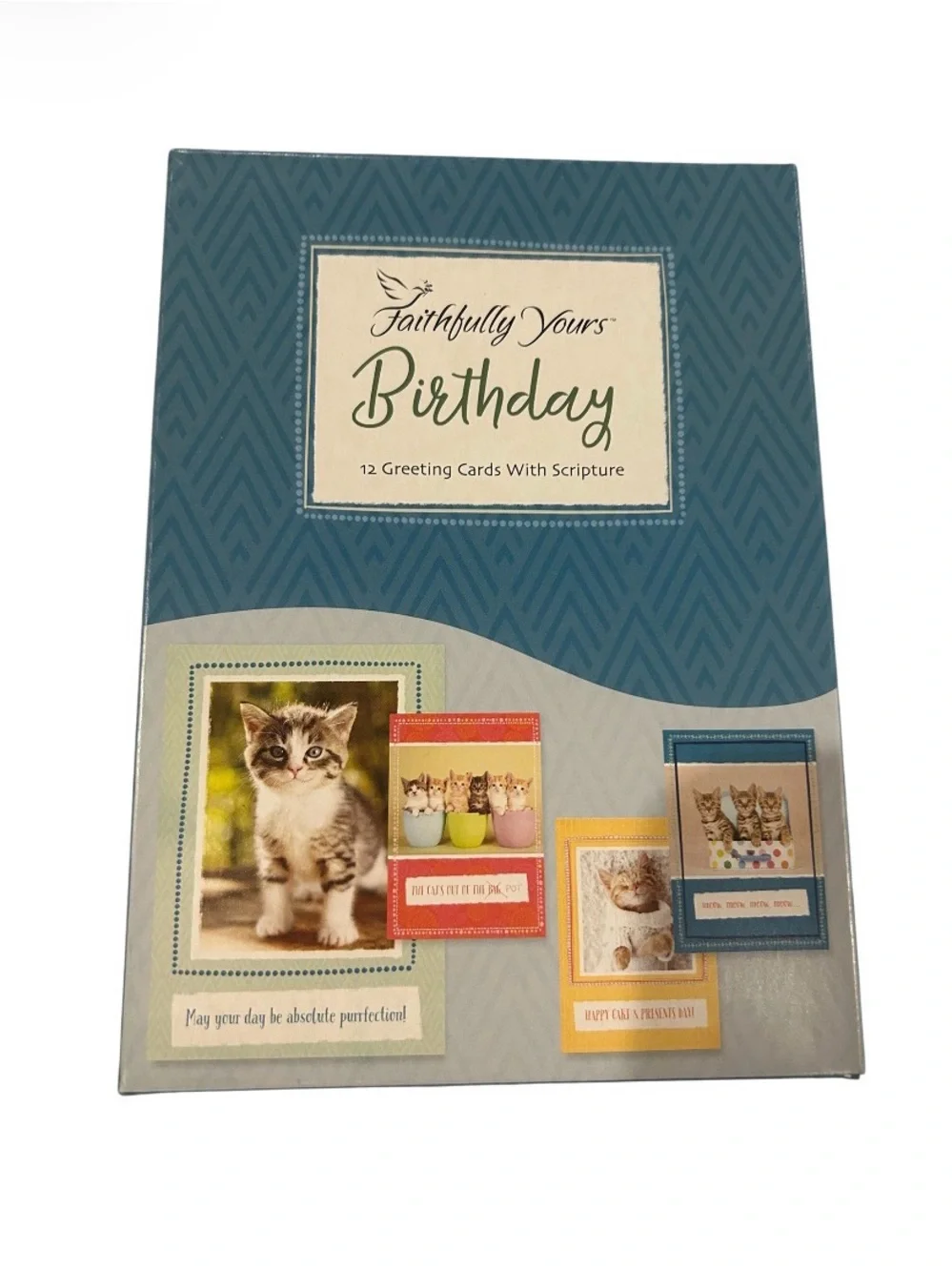Faithfull the Brand Cat Birthday Card Set - Teal Blue with Multicolor Accents
